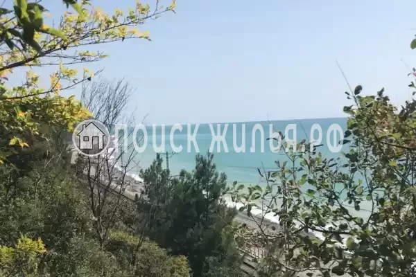 «Зара», Лазаревское «Зара», Лазаревское