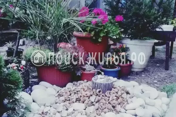 «Зара», Лазаревское «Зара», Лазаревское