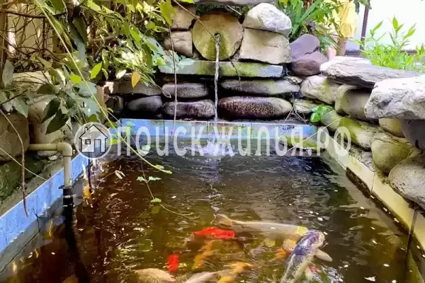 «Viktori», Лазаревское «Viktori», Лазаревское