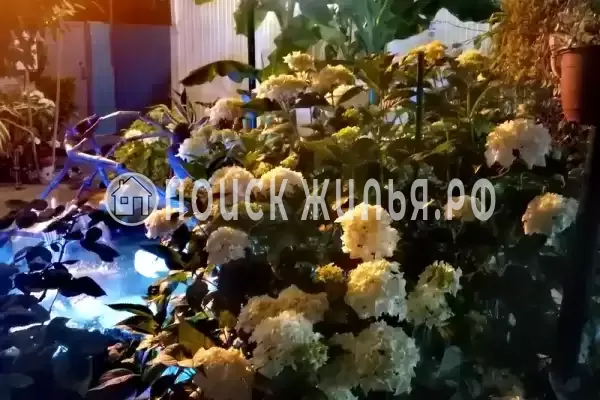 Частный сектор «У моря», Лазаревское