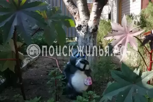 «У Татьяны», Анапа «У Татьяны», Анапа