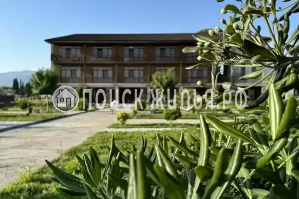 Гостиница «Ohana», Республика Абхазия, Гагры, Пицунда, , д.Молочныйсовхоз