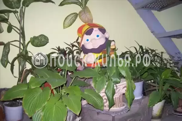 «Лоза», Феодосия