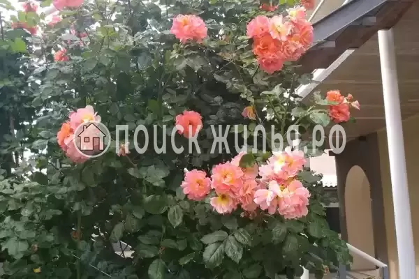 Частный сектор «Елена», Саки Частный сектор «Елена», Саки