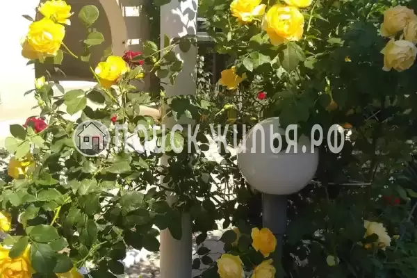 Частный сектор «Елена», Саки Частный сектор «Елена», Саки