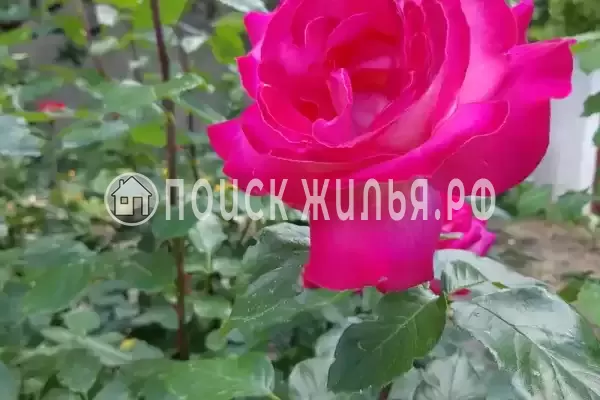 Дом под ключ «Дом под ключ», Феодосия Дом под ключ «Дом под ключ», Феодосия