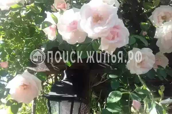 Частный сектор «Магнолия», Архипо-Осиповка