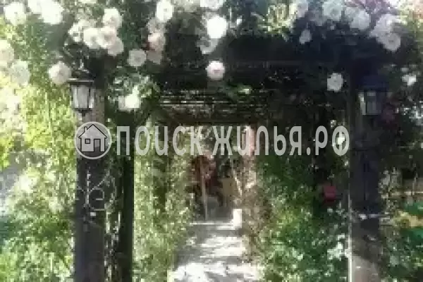 Частный сектор «Магнолия», Архипо-Осиповка