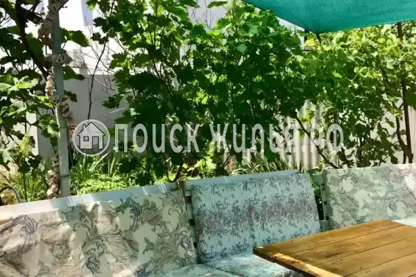 «Эльвира», Саки «Эльвира», Саки