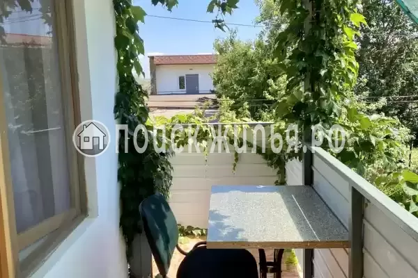 «Эльвира», Саки «Эльвира», Саки