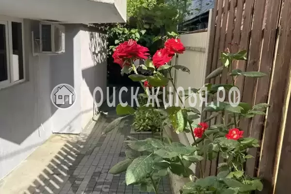 «Mila», Краснодарский край, Агой, СТ «Черноморье-1», д.уч194