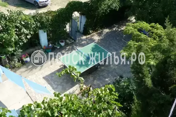 «Море удачи», Саки «Море удачи», Саки