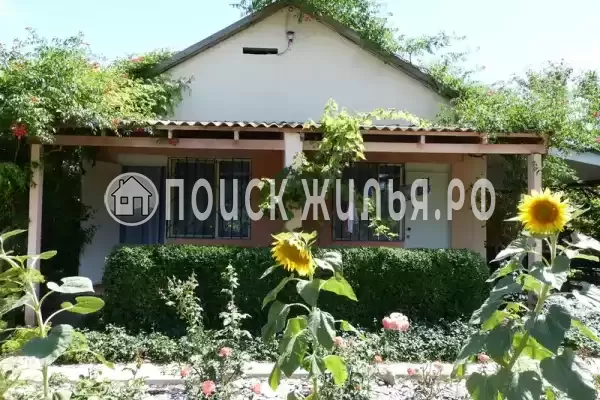 «Море удачи», Саки «Море удачи», Саки