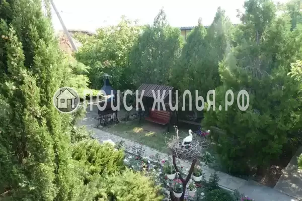 «Море удачи», Саки «Море удачи», Саки