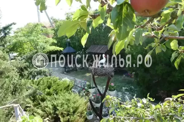 «Море удачи», Саки «Море удачи», Саки