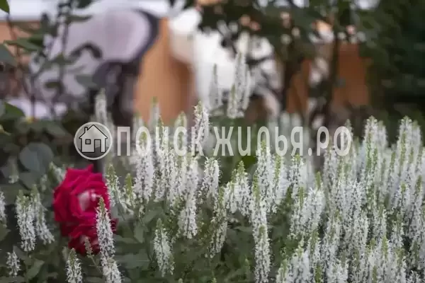 Гостевой дом «Времена года», Новофедоровка Гостевой дом «Времена года», Новофедоровка