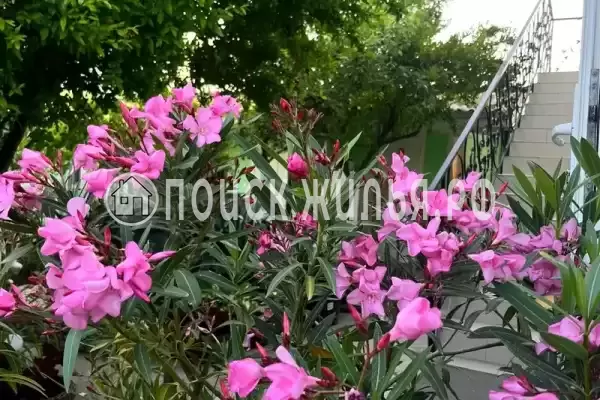 Гостевой дом «Лагуна», Керчь