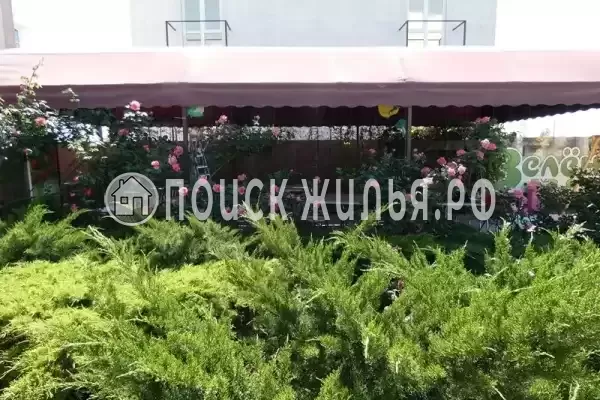 Гостевой дом «Зелёный дворик», Саки Гостевой дом «Зелёный дворик», Саки