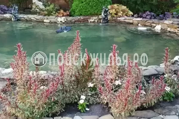 «Лето», Архипо-Осиповка