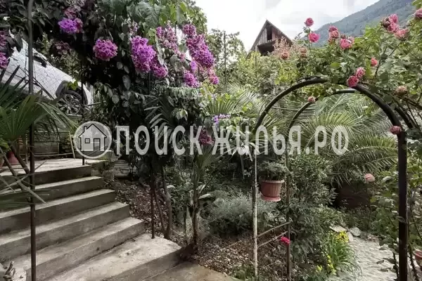 Частный сектор «У Абони», Гагра Частный сектор «У Абони», Гагра