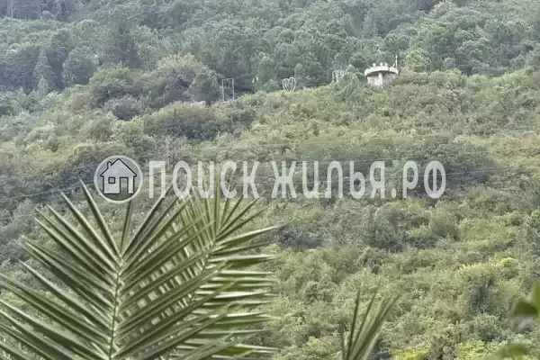 Частный сектор «У Абони», Гагра Частный сектор «У Абони», Гагра