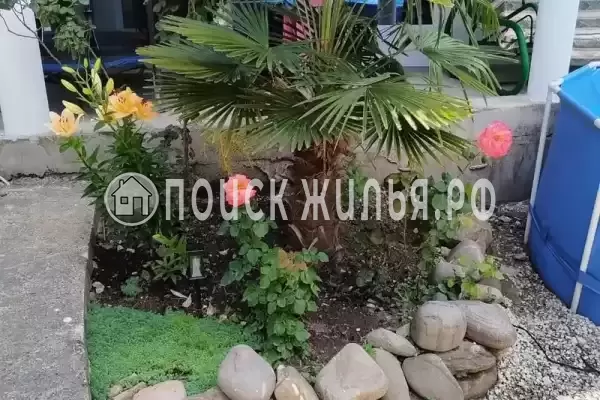 «Розалия», Лоо