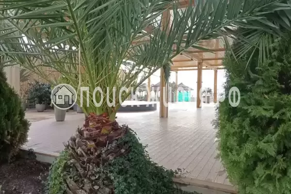 Квартира «-студия в ЖК Плаза», Адлер Квартира «-студия в ЖК Плаза», Адлер