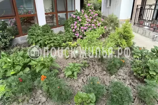 Гостиница «Оникс», Цандрипш