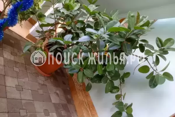 Гостевой дом «Акбарс», Сириус Гостевой дом «Акбарс», Сириус