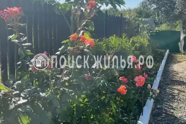 Частный сектор «Домик на Степной», Пицунда Частный сектор «Домик на Степной», Пицунда