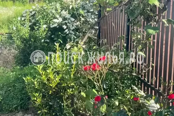 Частный сектор «Домик на Степной», Пицунда Частный сектор «Домик на Степной», Пицунда