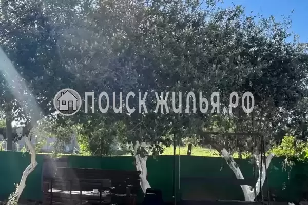 Частный сектор «Домик на Степной», Пицунда Частный сектор «Домик на Степной», Пицунда