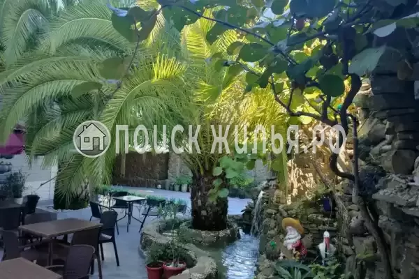 Гостевой дом «Белый орёл», Адлер Гостевой дом «Белый орёл», Адлер