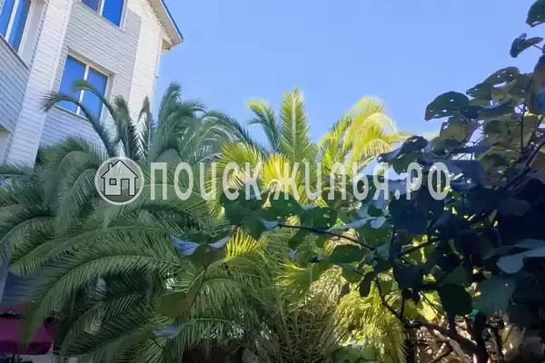 Гостевой дом «Белый орёл», Адлер Гостевой дом «Белый орёл», Адлер