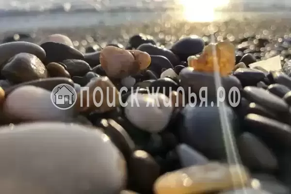 «Уютный», Николаевка «Уютный», Николаевка