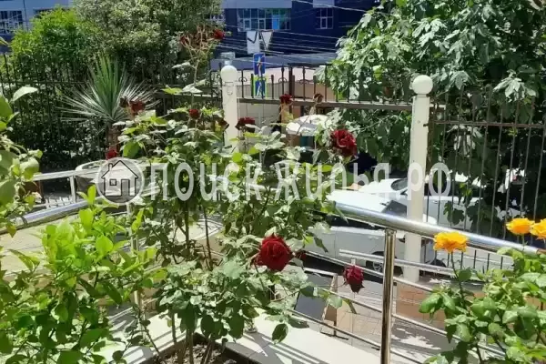 «Армара», Сочи