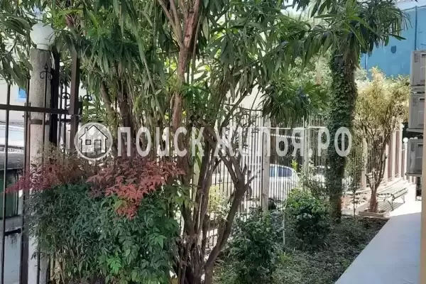 «Армара», Сочи