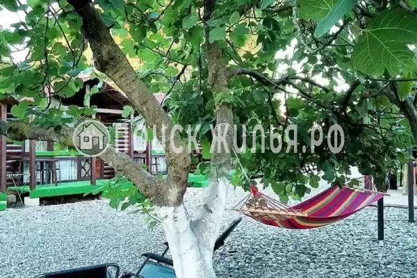 База отдыха «Инь-Ян», Пицунда База отдыха «Инь-Ян», Пицунда