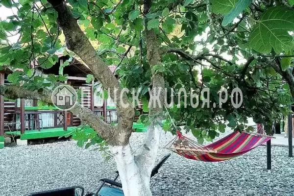 База отдыха «Инь-Ян», Пицунда База отдыха «Инь-Ян», Пицунда