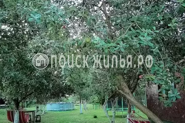 База отдыха «Инь-Ян», Пицунда База отдыха «Инь-Ян», Пицунда