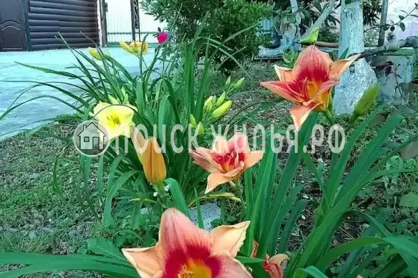 База отдыха «Инь-Ян», Пицунда База отдыха «Инь-Ян», Пицунда