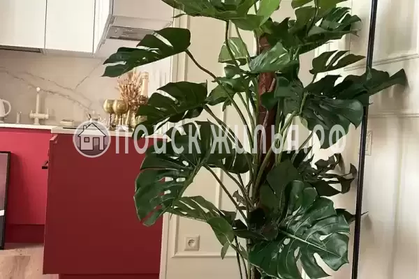 Апартаменты «Атра», Пицунда