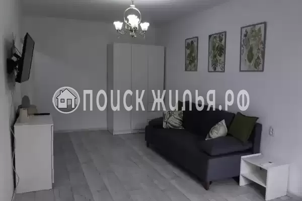 Квартира, Центральная, д.56, Головинка Квартира, Центральная, д.56, Головинка