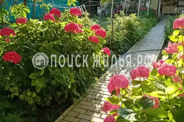 «Любушка», Лазаревское