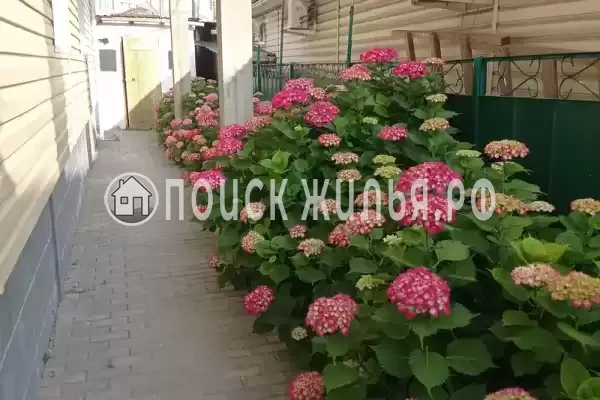 «Любушка», Лазаревское