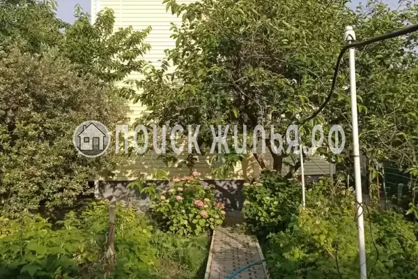 «Любушка», Лазаревское