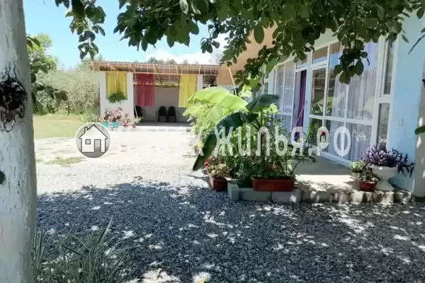 Гостевой дом «De Sofía», Пицунда Гостевой дом «De Sofía», Пицунда