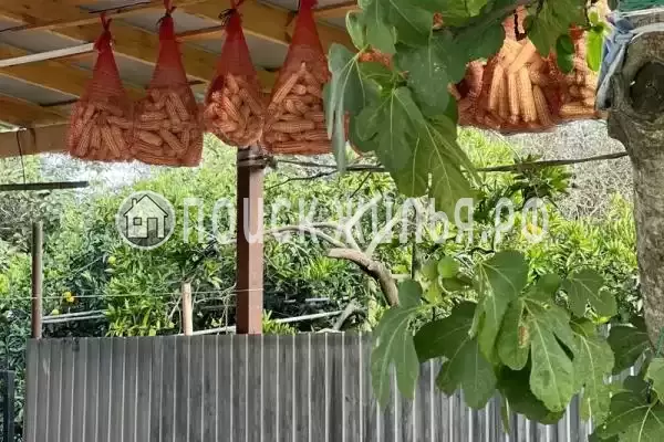 Частный сектор «Людмила»