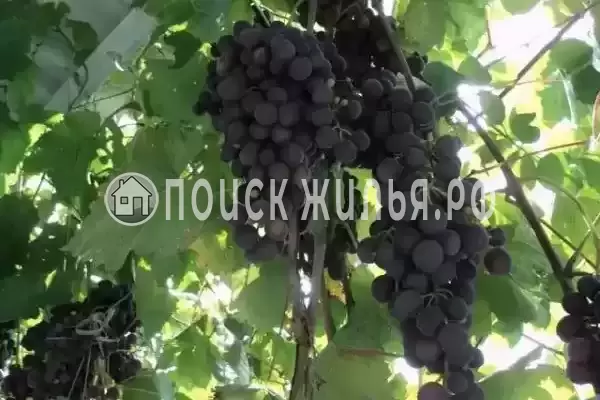 Частный сектор «Комната в частном доме Радость Юга» Частный сектор «Комната в частном доме Радость Юга»