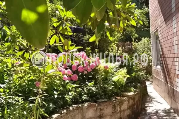 Частный сектор «Комната в частном доме Радость Юга» Частный сектор «Комната в частном доме Радость Юга»